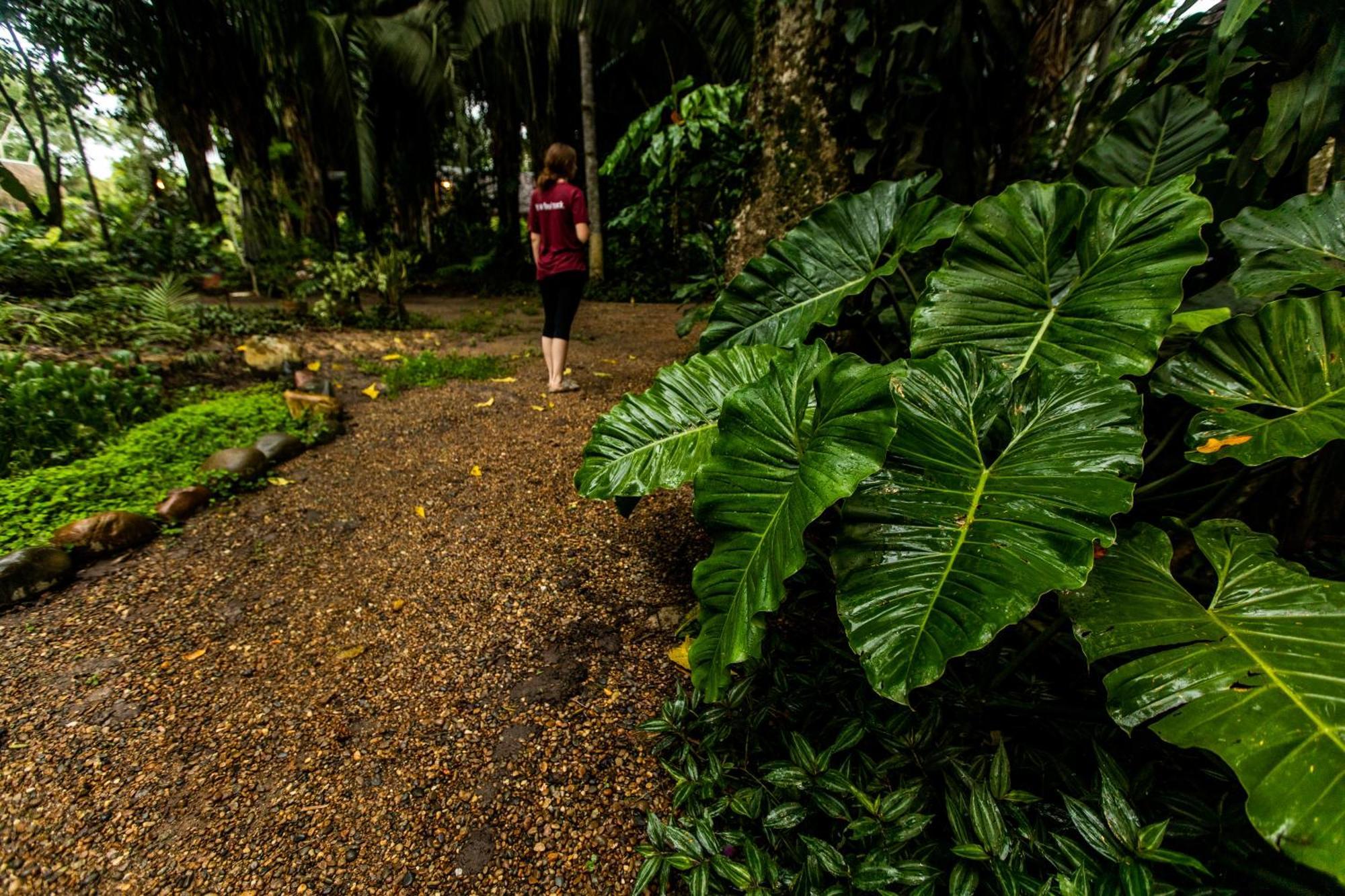 Kapievi Ecovillage Puerto Maldonado Ngoại thất bức ảnh