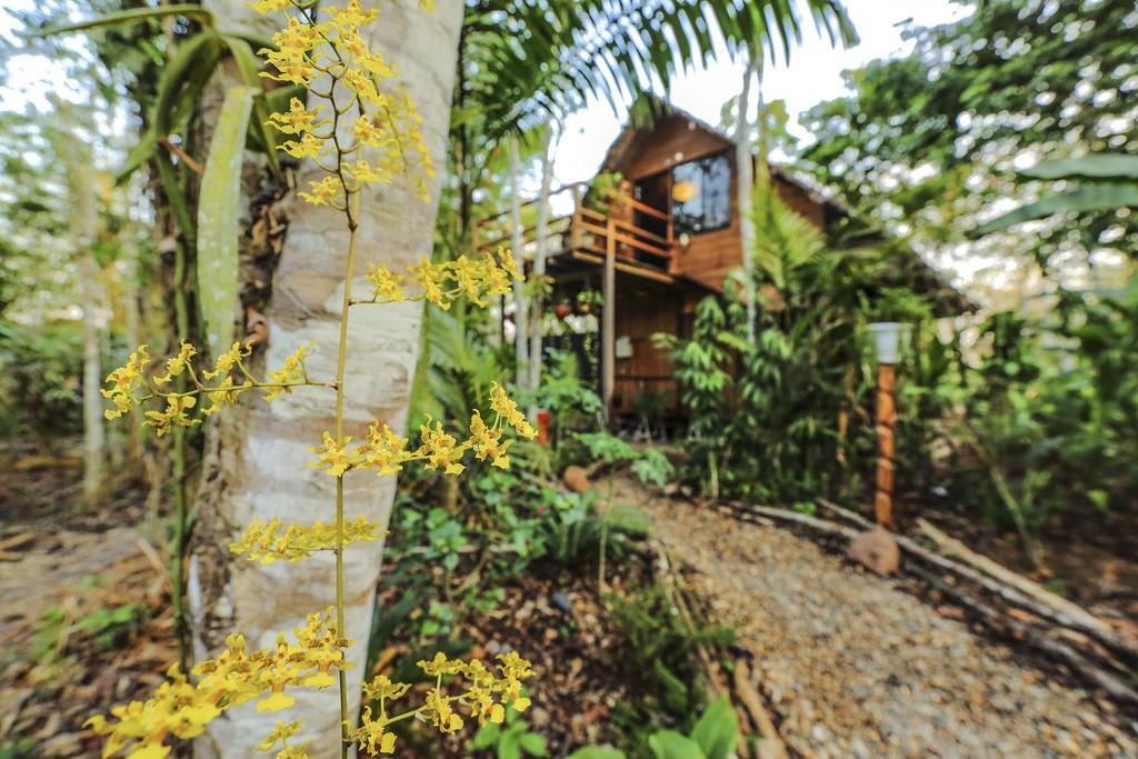Kapievi Ecovillage Puerto Maldonado Ngoại thất bức ảnh